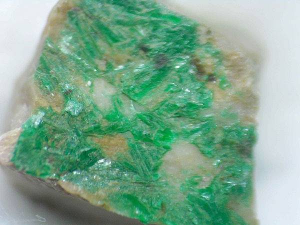 aaa609c.jpg